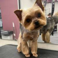 Фото работ Олеся С