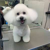 Фото работ Анна К.