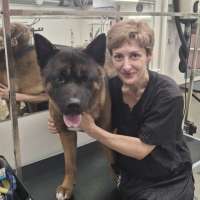 Фото работ Галина