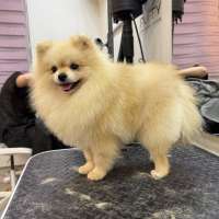 Фото работ Валерия