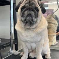 Фото работ Милана