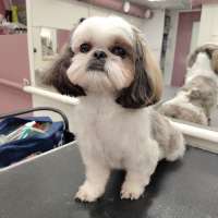 Фото работ Елена К