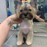 Фото работ Анна К.