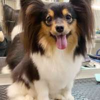 Фото работ Анна