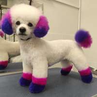 Фото работ Светлана