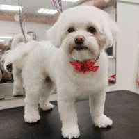 Фото работ Елена И.