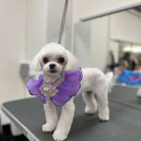 Фото работ Ирина С.