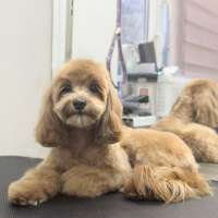 Фото работ Ксения