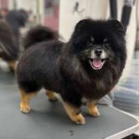 Фото работ Ирина С.