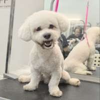 Фото работ Ксения