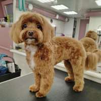 Фото работ Елена К