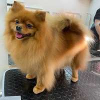 Фото работ Анна