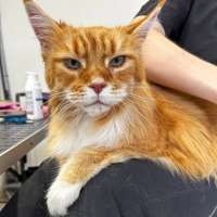 Фото работ Елизавета