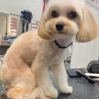 Фото работ Анна