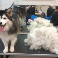 Фото работ Ольга Л