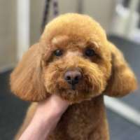 Фото работ Анна Р