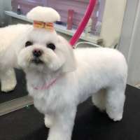 Фото работ Елизавета