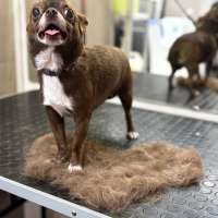 Фото работ Анна Р