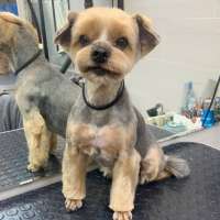 Фото работ Анна К.