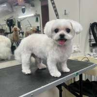 Фото работ Олеся С