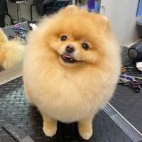 Фото работ Анна