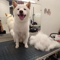 Фото работ Елена И.