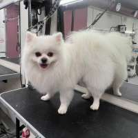 Фото работ Олеся С