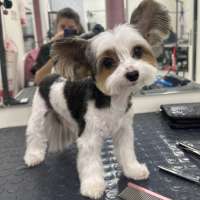 Фото работ Полина