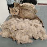 Фото работ Елена К