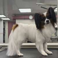 Фото работ Эльза