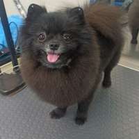 Фото работ Александра