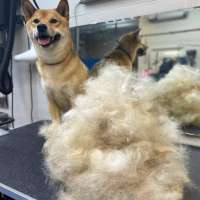 Фото работ Александра