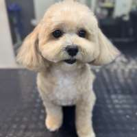 Фото работ Анастасия Н