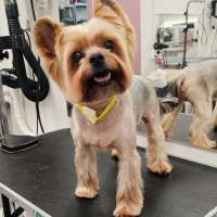 Фото работ Елена И.