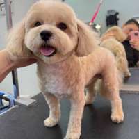 Фото работ Елизавета