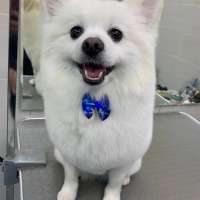 Фото работ Анна К.