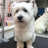 Фото работ Ольга Л