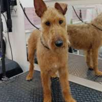 Фото работ Елена