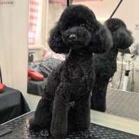 Фото работ Елена