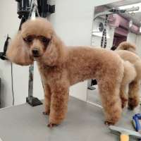 Фото работ Елена К