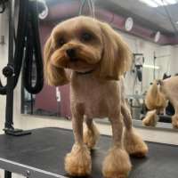 Фото работ Олеся С