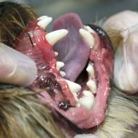 Фото работ Наталья