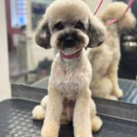 Фото работ Юлия