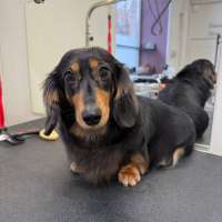 Фото работ Валерия