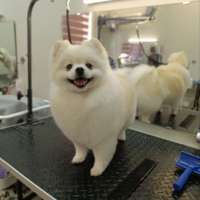 Фото работ Елена