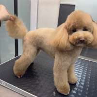 Фото работ Анастасия Н