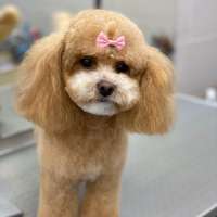 Фото работ Анна К.