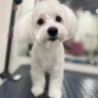 Фото работ Полина