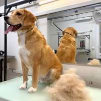 Фото работ Валерия