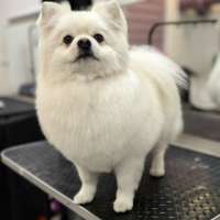 Фото работ Елена